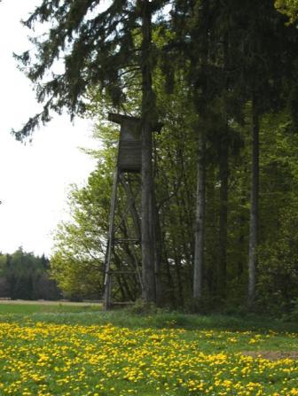 Ansicht des Lehr- und Ausbildungsreviers