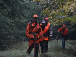 Fotogalerie &raquo; Drückjagd der Jungen Jäger in Reutern